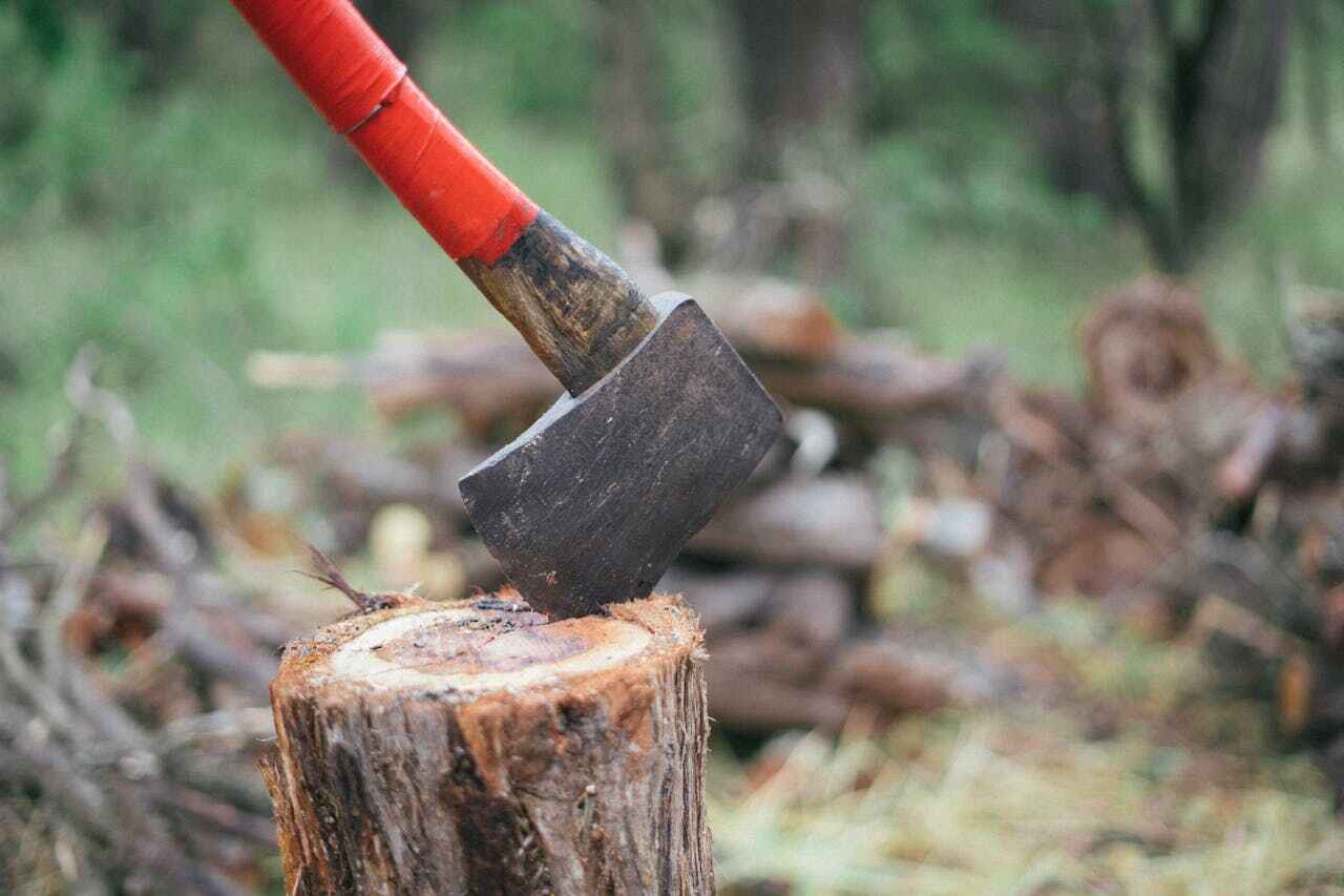 Best Tree Stump Removal  in Brookside, NJ